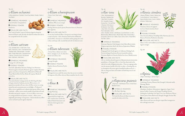 The Complete Language of Flowers