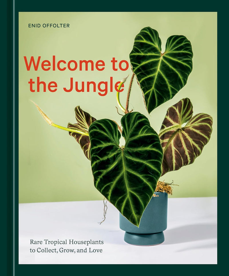 WELCOME TO THE JUNGLE-RH