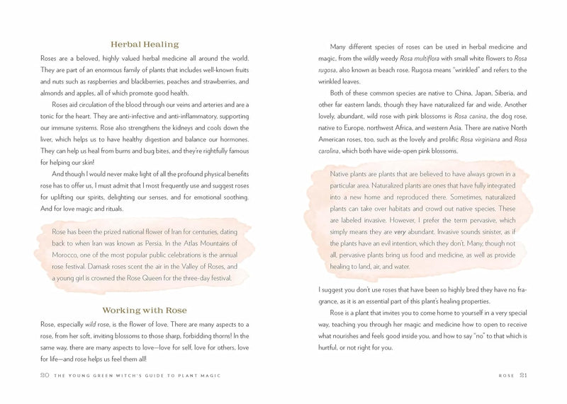 The Young Green Witch's Guide to Plant Magic FORMAT: Hardback - Paper Over Boards