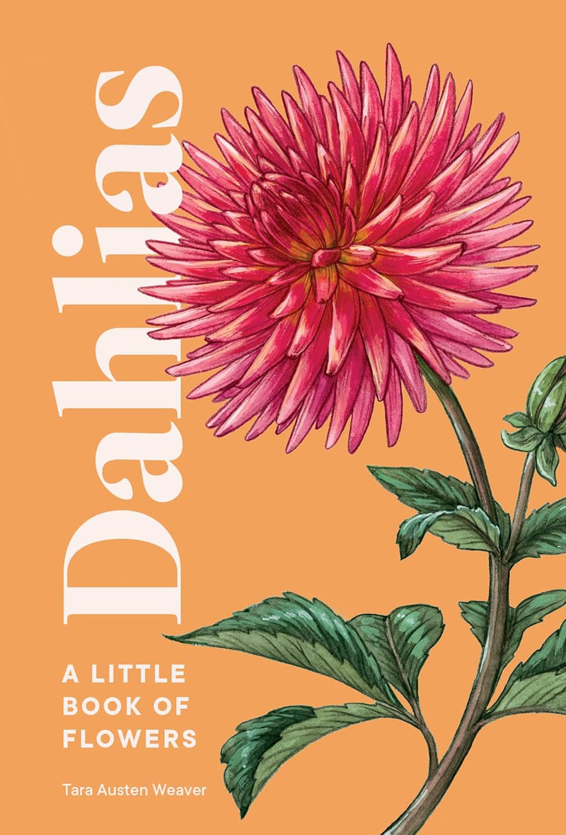 DAHLIAS-RH