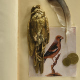 Still Bird Brass Paperweight - Antique Brass