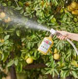 Org Insecticide for Tomato & Vegetable 16oz Ready To Spray