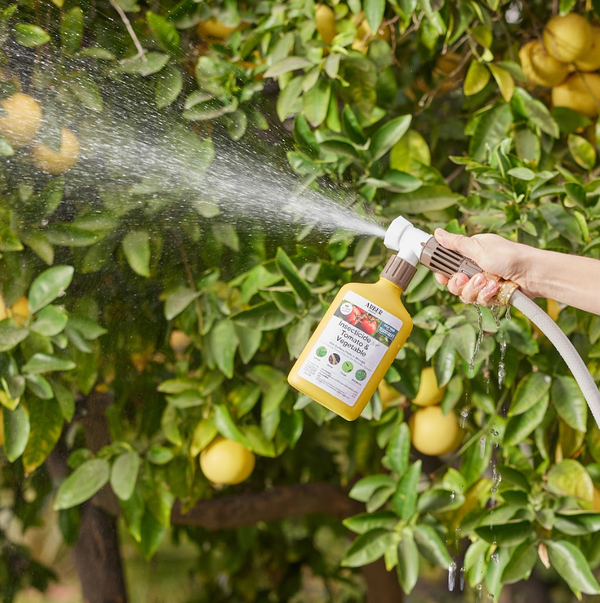 Org Insecticide for Tomato & Vegetable 16oz Ready To Spray