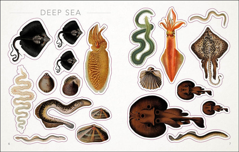 SEASHORE STICKER ANTHOLOGY-PGI