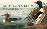 Audubon's Birds of America