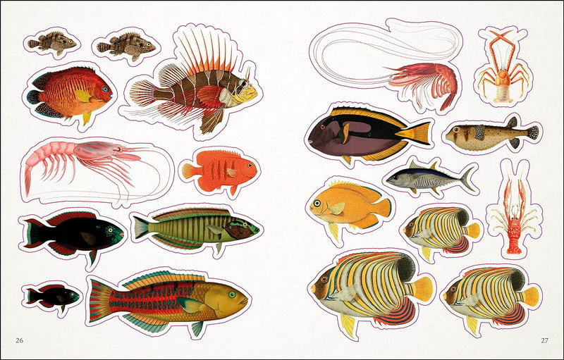 SEASHORE STICKER ANTHOLOGY-PGI