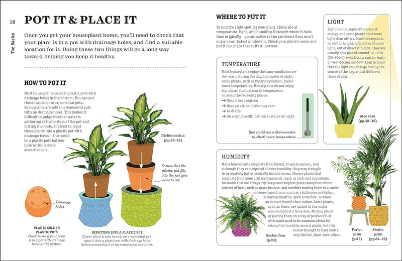 HOW NOT KILL HOUSEPLANT 2E-PGI