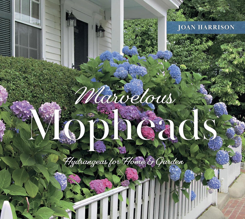 Marvelous Mopheads