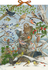 Birds in Winter Birdsong Advent Calendar