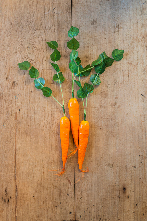 17" Orange Long Carrot