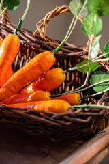 17" Orange Long Carrot