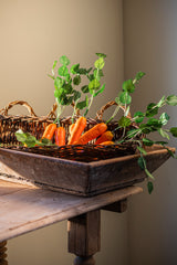 17" Orange Long Carrot