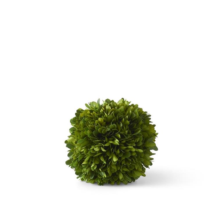 5.5 Inch Preserved Boxwood Ball