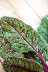 Red Garden Beet Object Art