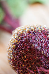 Red Garden Beet Object Art