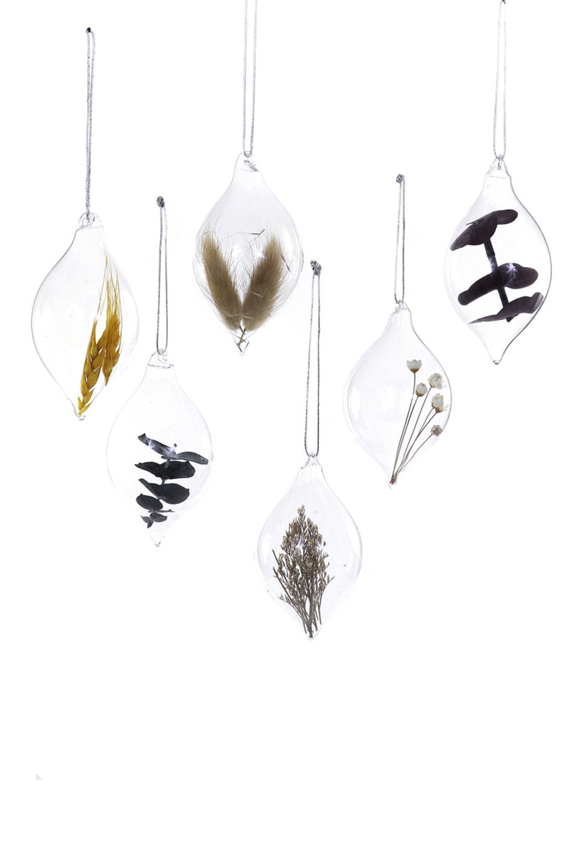 CAPTURED BOTANICALS-SMALL