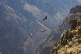 Learn Andean Shamanism: Your True Self Awakens (10-Month Course)