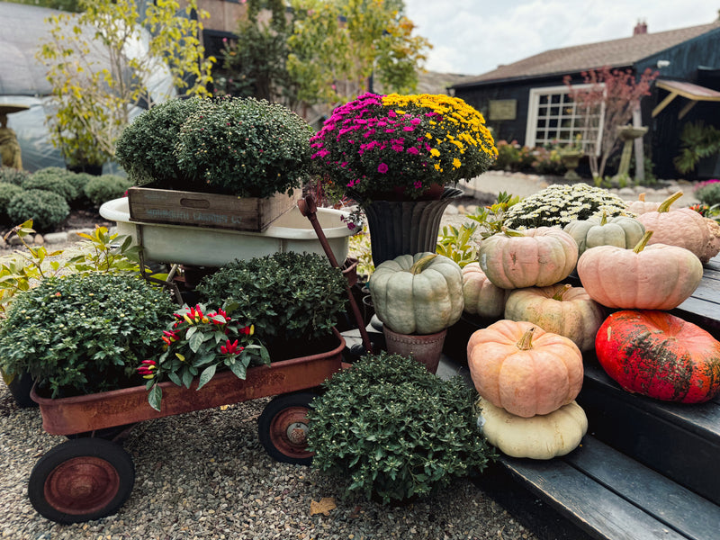 Stacking Pumpkins