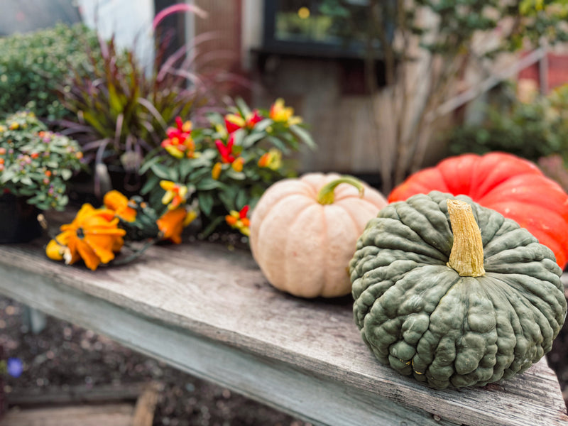 Stacking Pumpkins