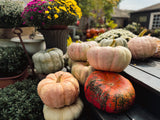 Stacking Pumpkins