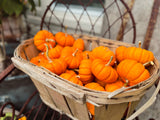 Small Pumpkins - Orange