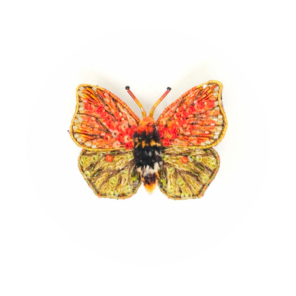 Maderensis Felder Butterfly Brooch Pin