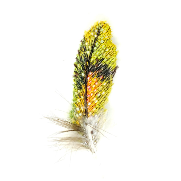Old World Parrot Feather Brooch Pin