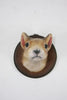 SQUIRREL PLAQUE