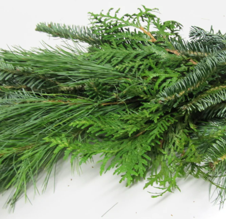 Mixed Evergreen Garland