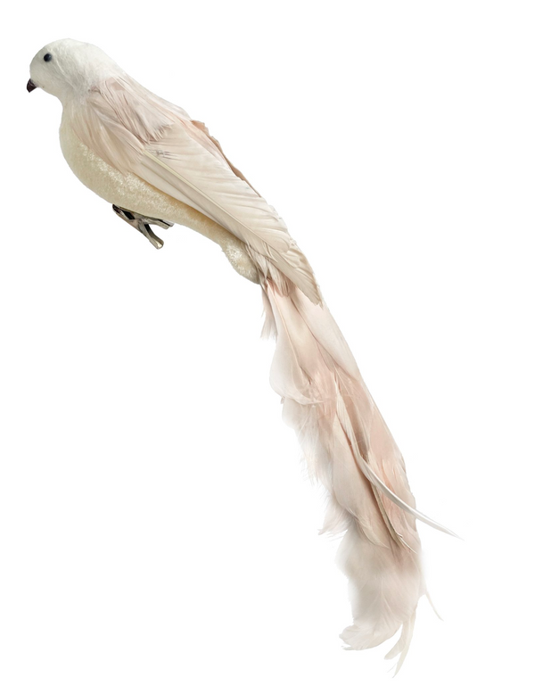 Beige Bird Long Tail 17"