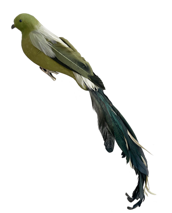 Bird Green Feather Tail 18"