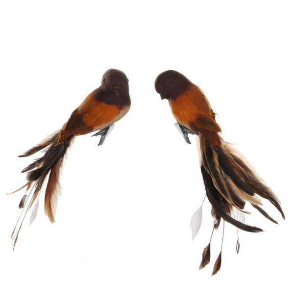 Orange and Brown Bird 10"