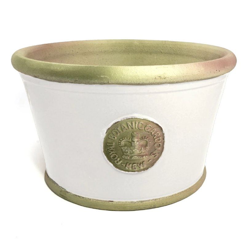 SM Ivory "Windsor" Kew Low Pot