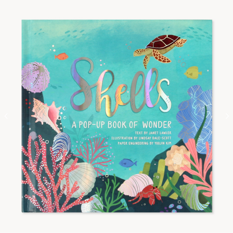 SHELLS: A POP-UP BOOK OF WONDER