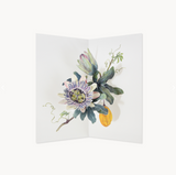 PASSION FLOWER pop up card