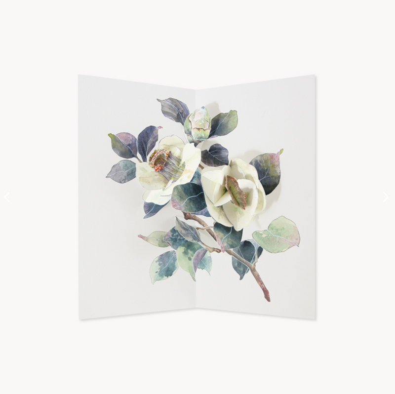 CAMELLIA pop up card