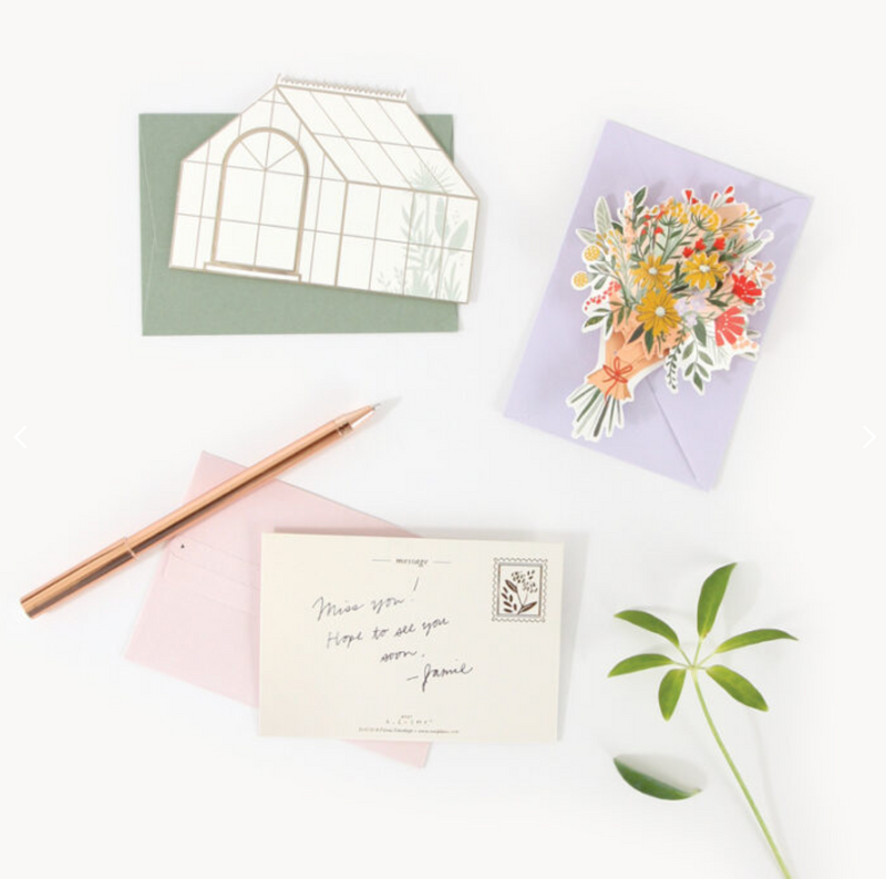 BOTANICAL - ALCHEMY BOXED CARD SET
