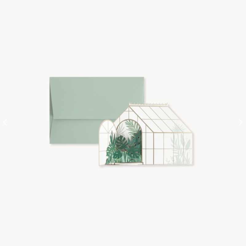 BOTANICAL - ALCHEMY BOXED CARD SET