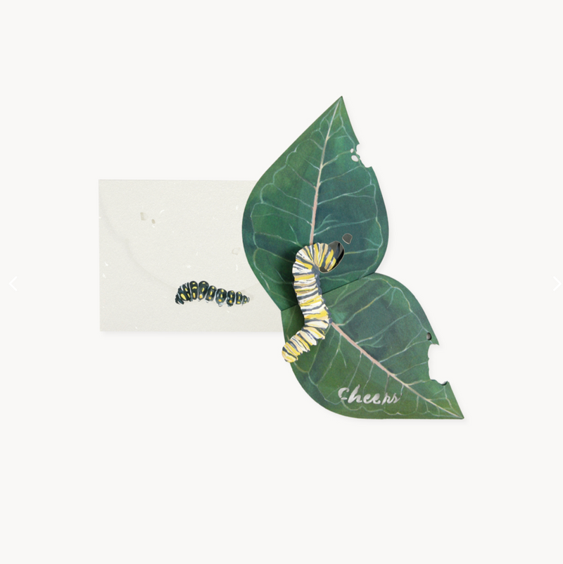 CATERPILLAR Greeting Card