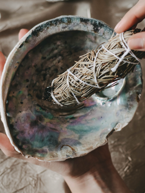 Abalone Shell - Small