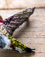 Sparkling Hummingbird Brooch Pin