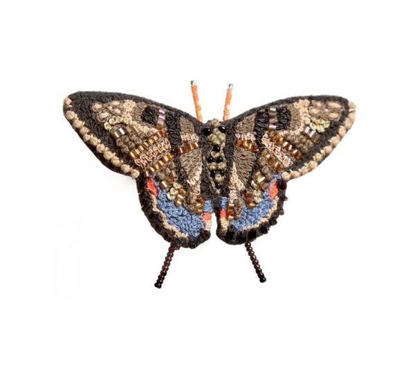 Swallowtail Butterfly