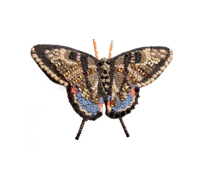 Swallowtail Butterfly