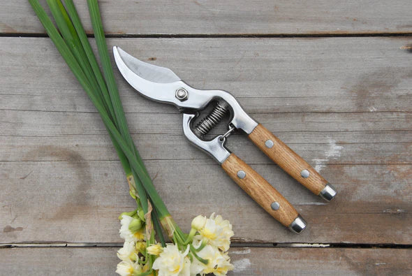 Secateurs wood handle gift box