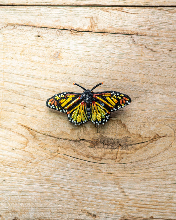 Meandering Monarch Butterfly