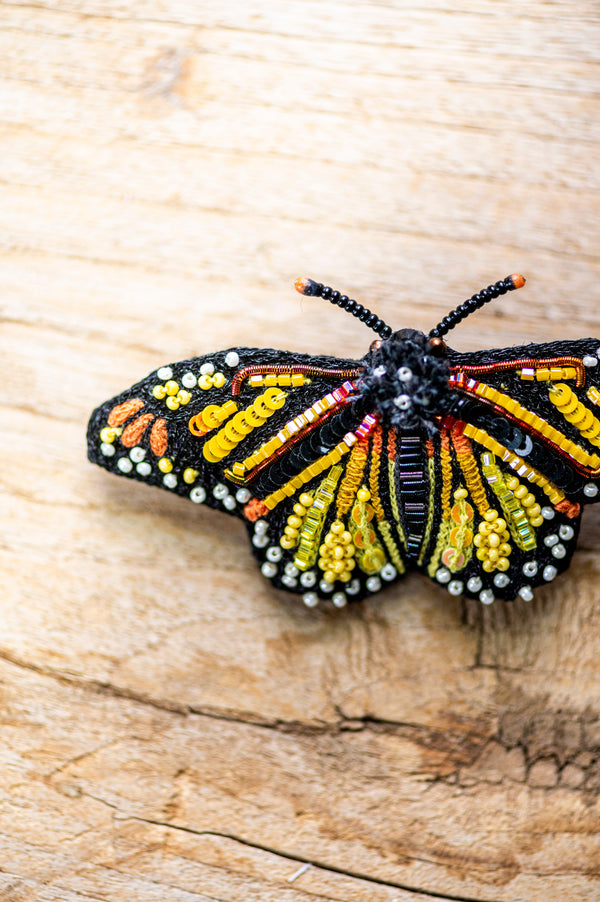 Meandering Monarch Butterfly