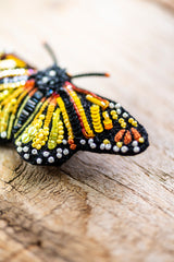 Meandering Monarch Butterfly