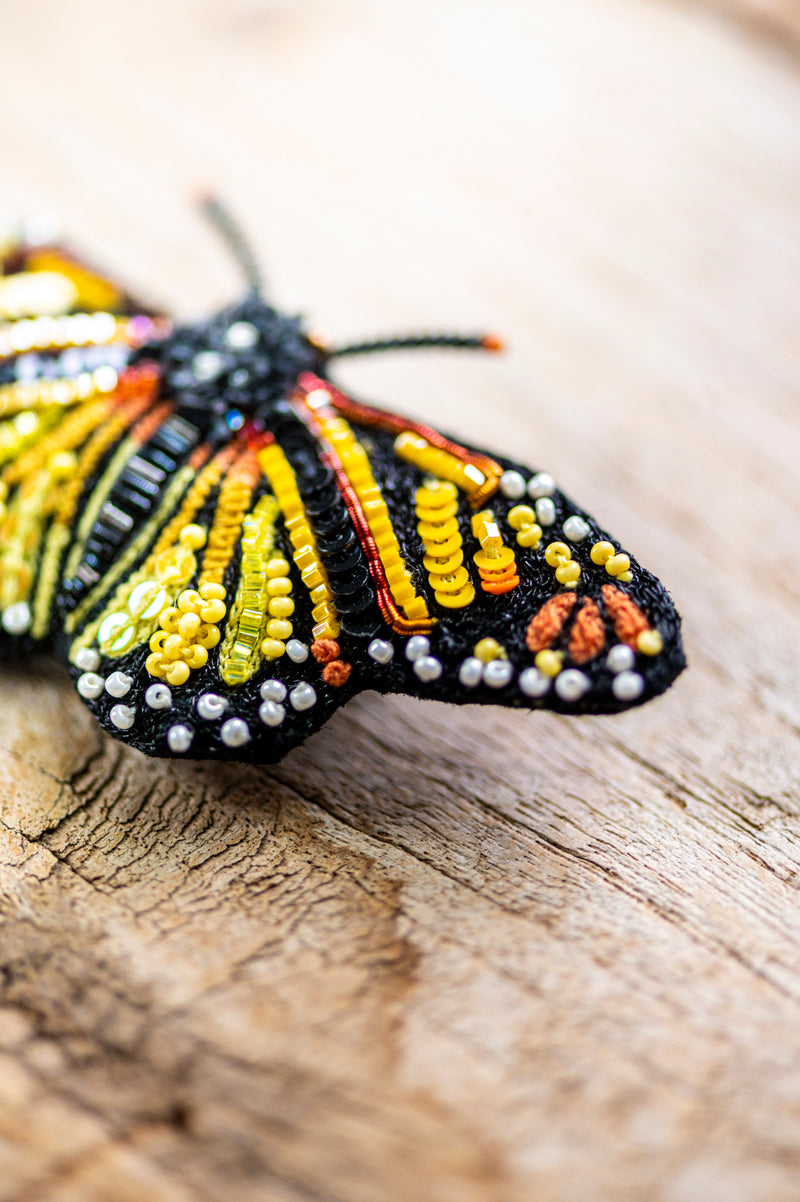 Meandering Monarch Butterfly