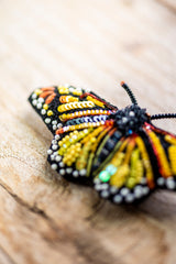 Meandering Monarch Butterfly