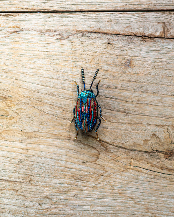 Snowdon Beetle Brooch Pin